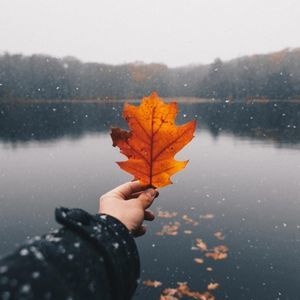 Meet your Posher, Roberto carlo